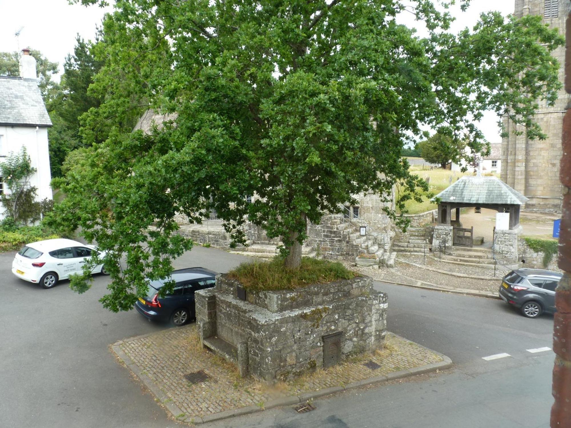 Seven Stars - Bed & Breakfast & Restaurant Okehampton Extérieur photo